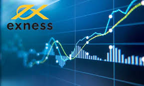 Comprehensive Guide to Using the Exness Trading Calculator
