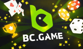 Discover the Unique Features of BCigra