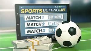 Exploring the World of Line Bet 13