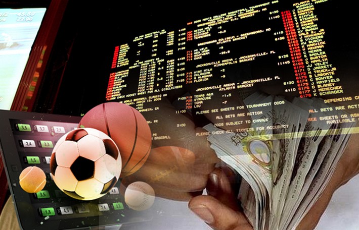 Your Ultimate Guide to Rara Bet Explore Exciting Betting Opportunities