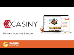Easy Access and Benefits of Casiny Login